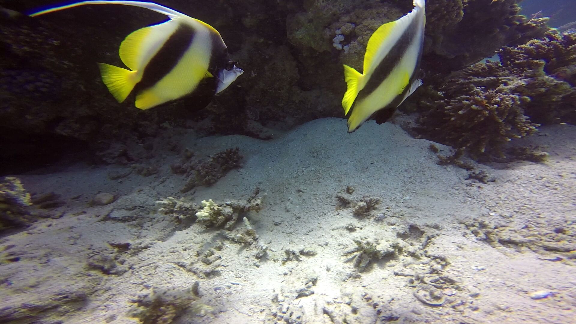 חדרים באילת